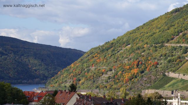 Bib Blick auf Binger Loch Daecher Okt 2017 A