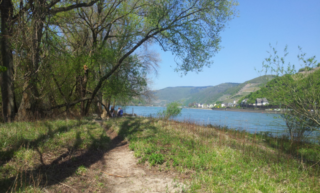 Bib Kribben Mai 2015 M Bib Kribben Mai 2015 M