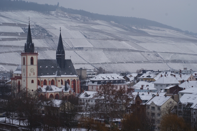 Bin Basilika Schnee 20_01_13