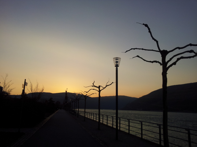 Bin Rhein Abendstimmung Maerz 2014 A