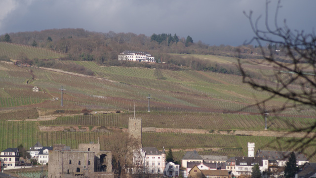 Bin Rhein Januar 18_2015 G