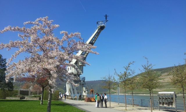 Bingen Fruehling Rhein 2015 A