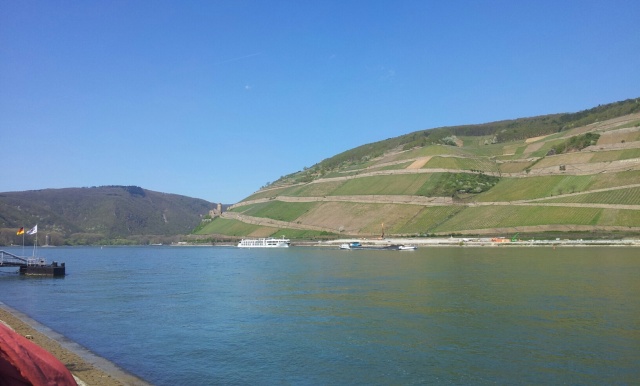 Bingen Fruehling Rhein 2015 C