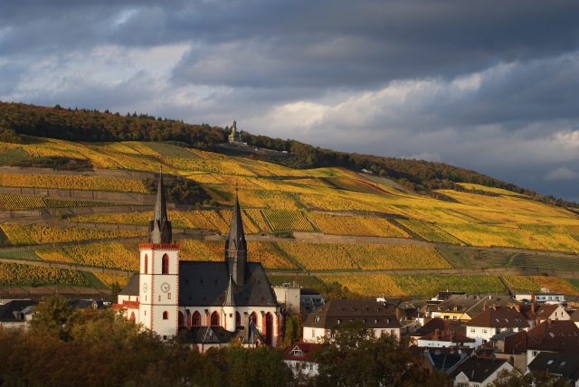 Blick auf Bingen Basilika u Ruedesh Seite Okt 2013