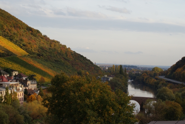 Blick auf Drususbr u Scharlachkopf Okt 2013