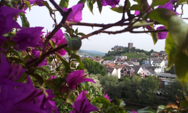 Burg 21_09_12 Burg 21_09_12