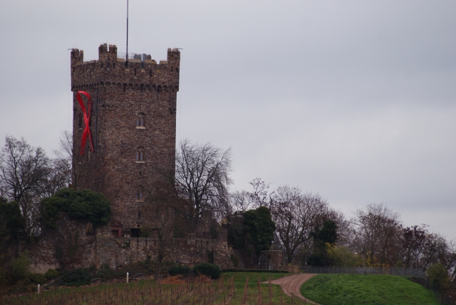 Burg Weltaidstag Nov 13