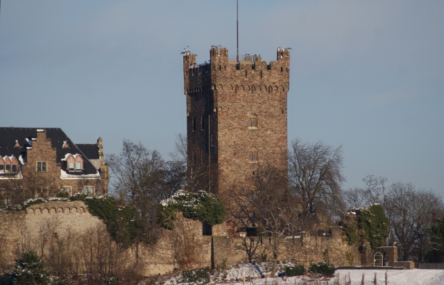 Burg mit Voegeln auf Turm 8_12_12 Burg mit Voegeln auf Turm 8_12_12