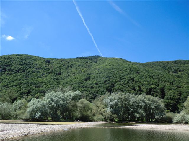 CIMG6305 CIMG6305