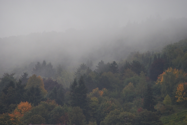 Herbst2013 Herbst2013