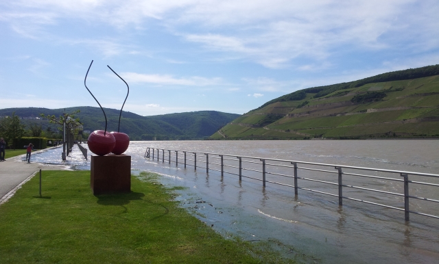 Hochwasser Bingen Juni 13