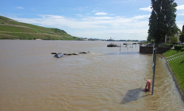 Hochwasser Bingen Juni 13 B