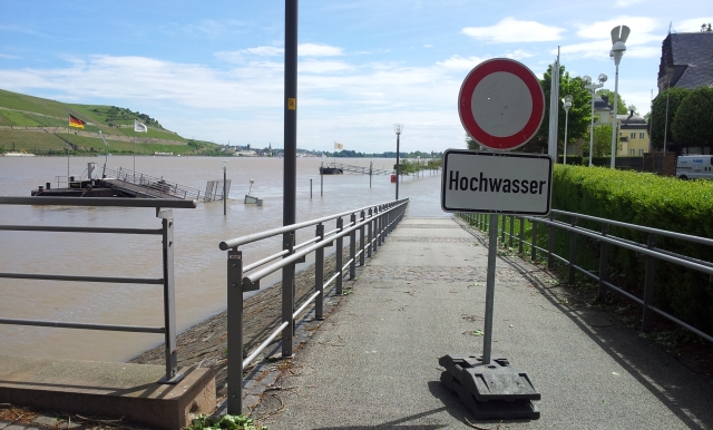 Hochwasser Bingen Juni 13 C