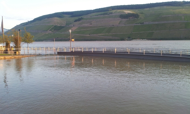 Hochwasser Bingen Juni 13 D