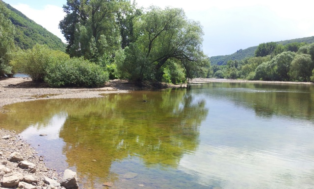 Kribb Wasser 30_06_14 Kribb Wasser 30_06_14