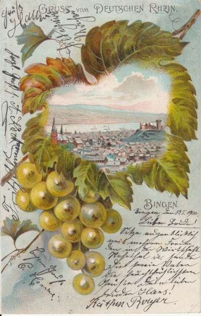 Litho Bingen Traube Weinlaub 1900