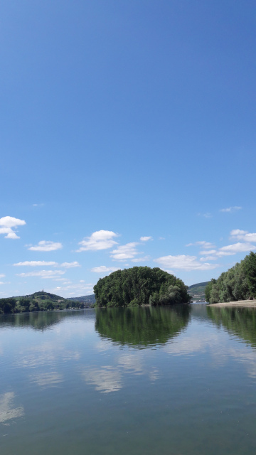 Rhein Aue Juli 2017 D