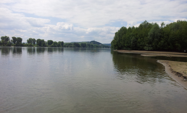 Rhein Aue Mai 2014 _B