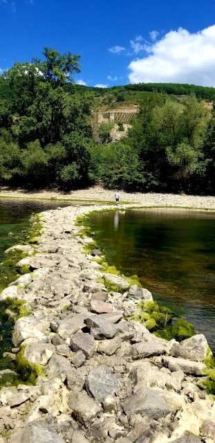 Rhein Maust Niedrigwasser 2022