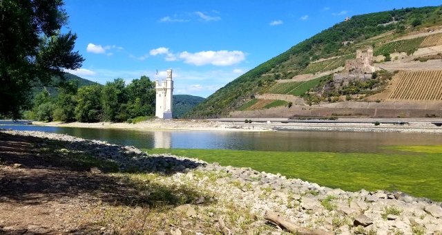 Rhein Maust Niedrigwasser 2022 B