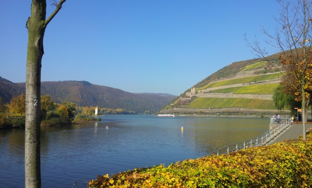 Rhein N Eck 21_10_12 Rhein N Eck 21_10_12