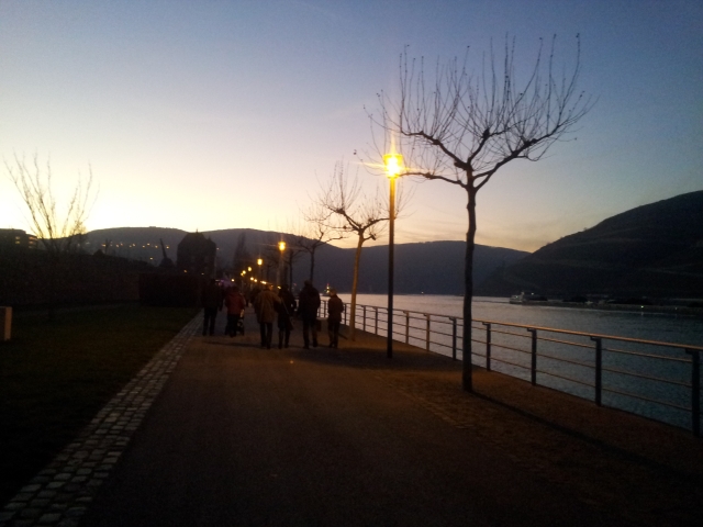 Rhein Promenade 15_12_13 D