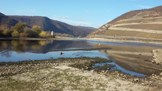 Rhein Trockenheit 11_11_15