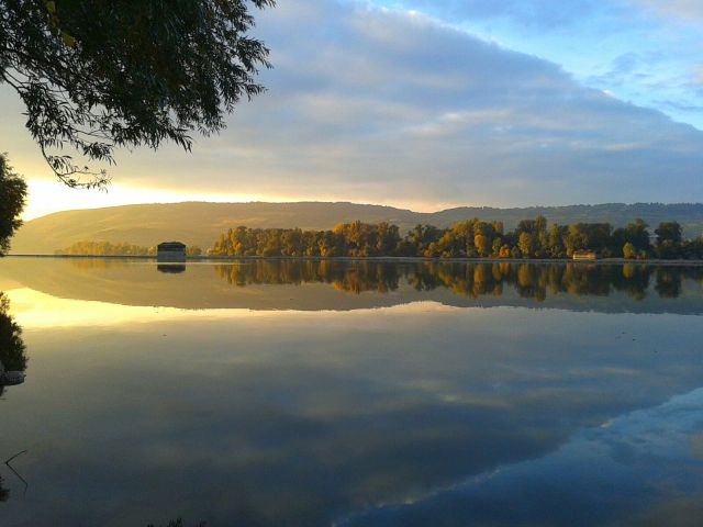 Rheinauen Herbst Okt 2016 C