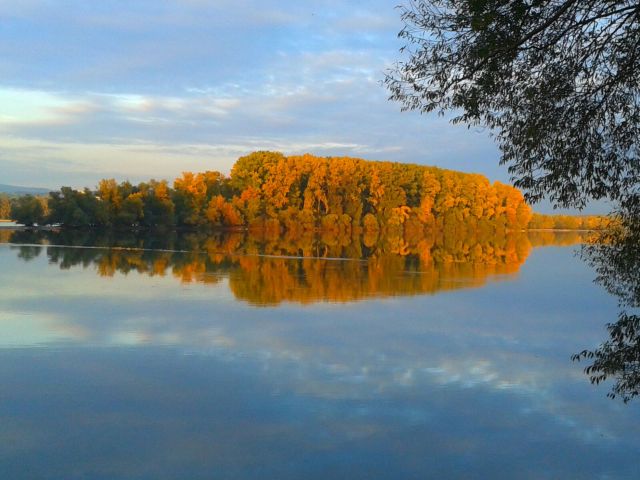 Rheinauen Herbst Okt 2016 D