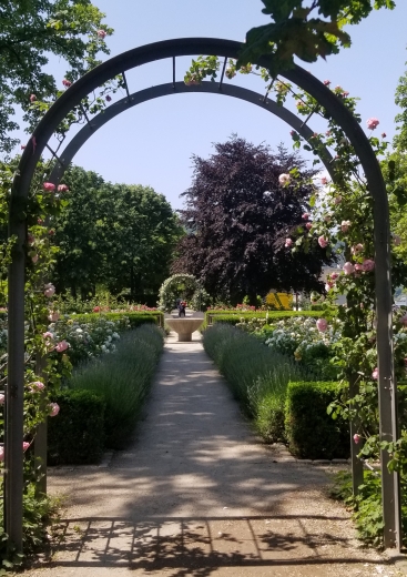 Rheinpromenade Rosengarten 2023