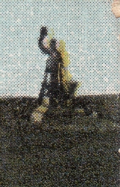 Bin Fake Niederwalddenkmal 1913 bunt Weinreben Detail Denkmal Bin Fake Niederwalddenkmal 1913 bunt Weinreben Detail Denkmal